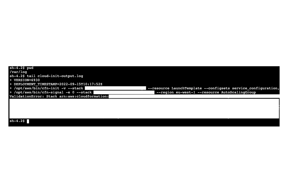 CLI log output